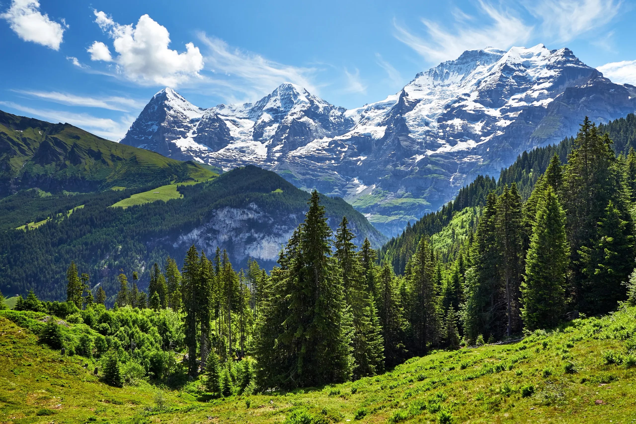 Bernese Oberland