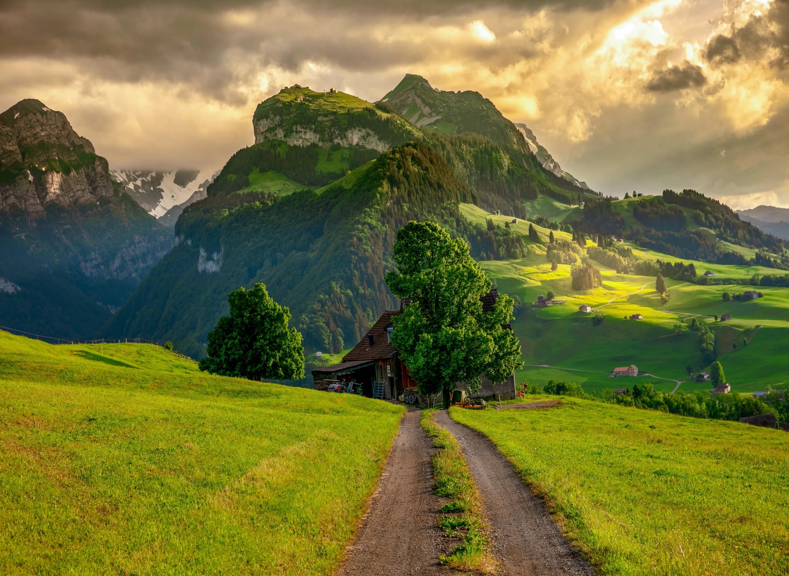 Offbeat Switzerland
