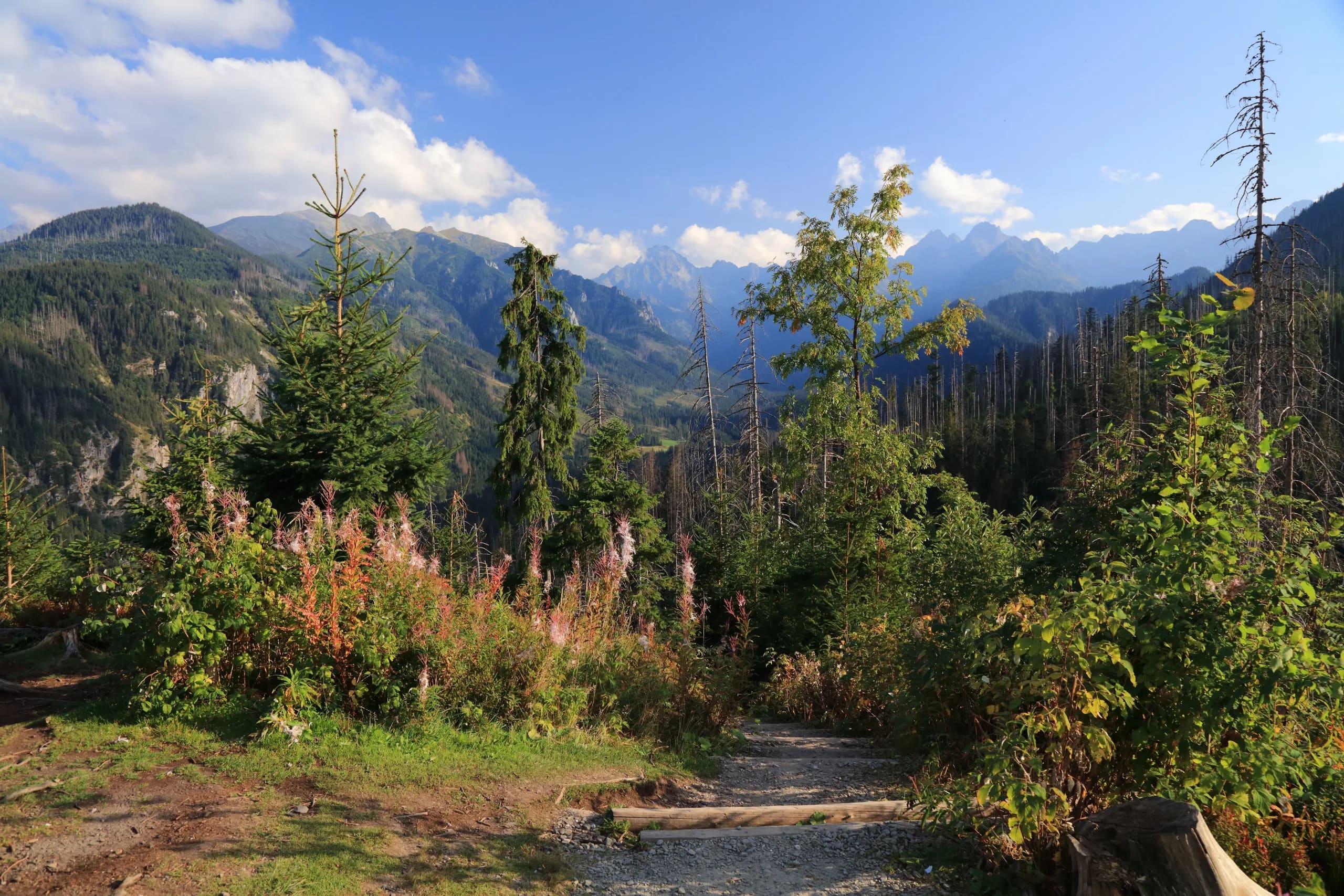 Polish Tatras