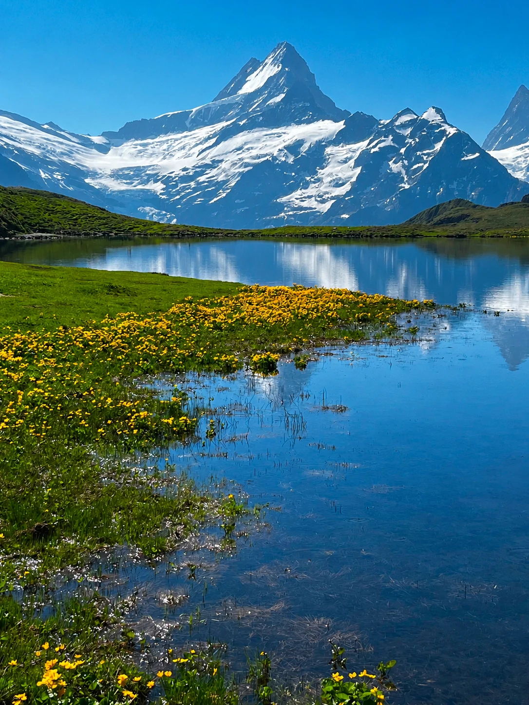 Ultimate Switzerland