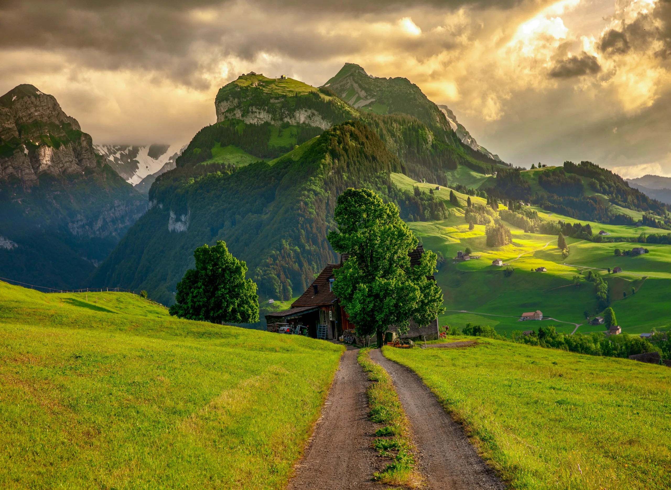 Offbeat Switzerland