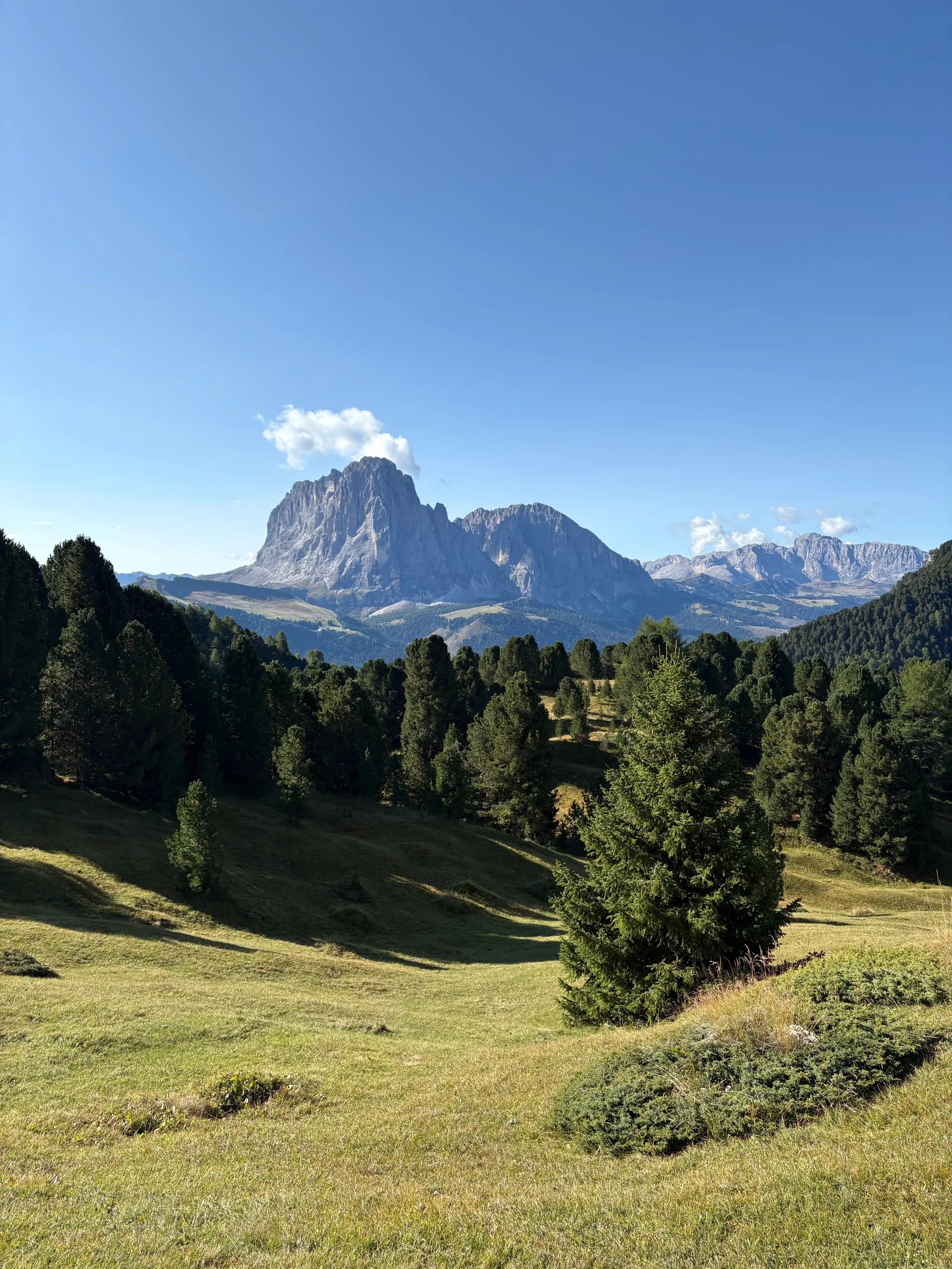Sassolungo