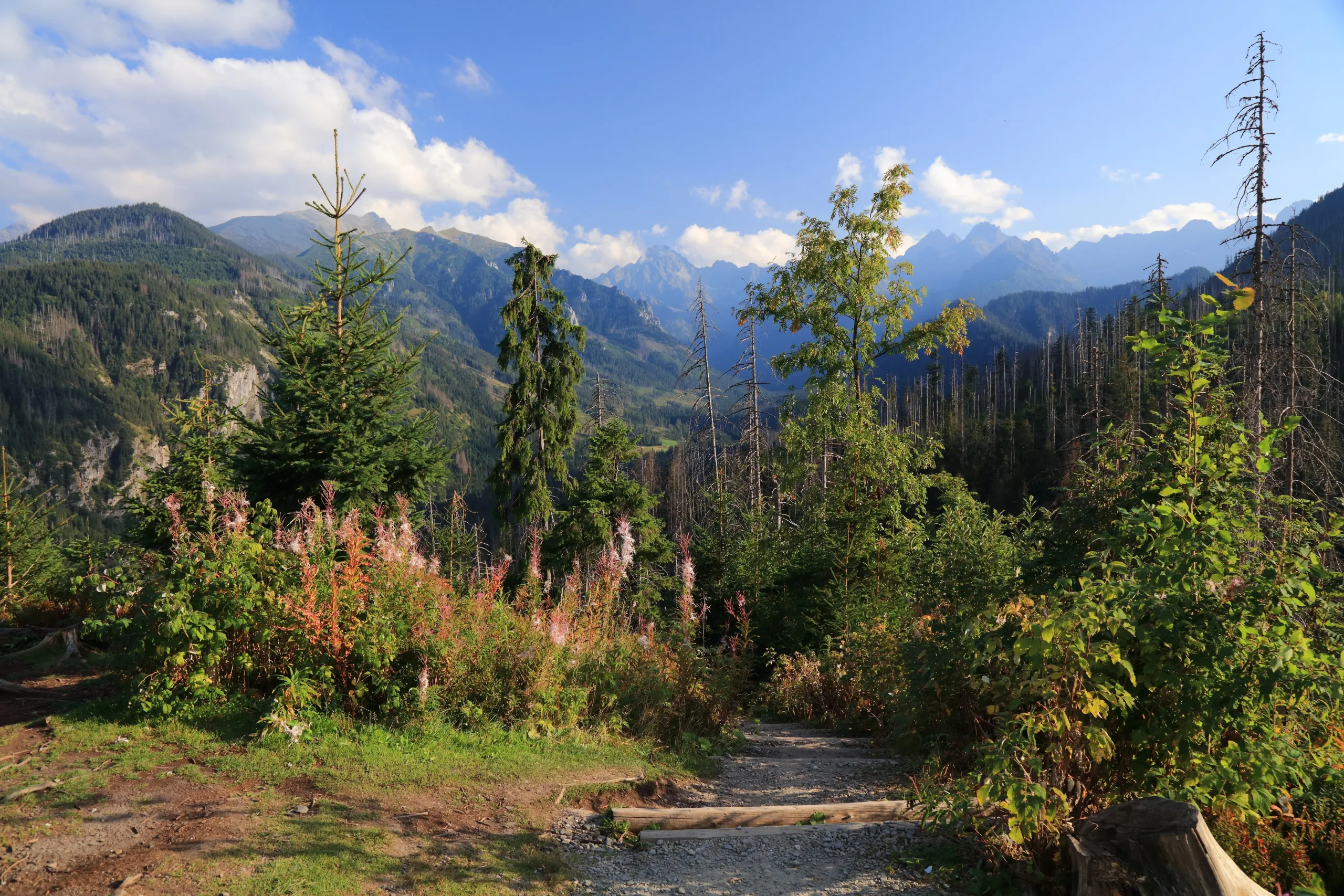 Polish Tatras